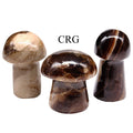 2 KILO LOT - Chocolate Calcite Mushroom / MIXED SIZES