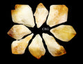 2 KILO LOT - Raw Citrine Points Extra Quality / MIXED SIZES