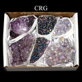 Assorted Amethyst Druzy Small Flat / Natural, Aura and Titanium (2.0" - 3.0") AVG