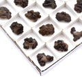 35 Piece Flat - Chalcedony Nodule