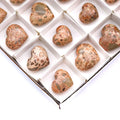 35 Piece Flat - Leopardite Hearts