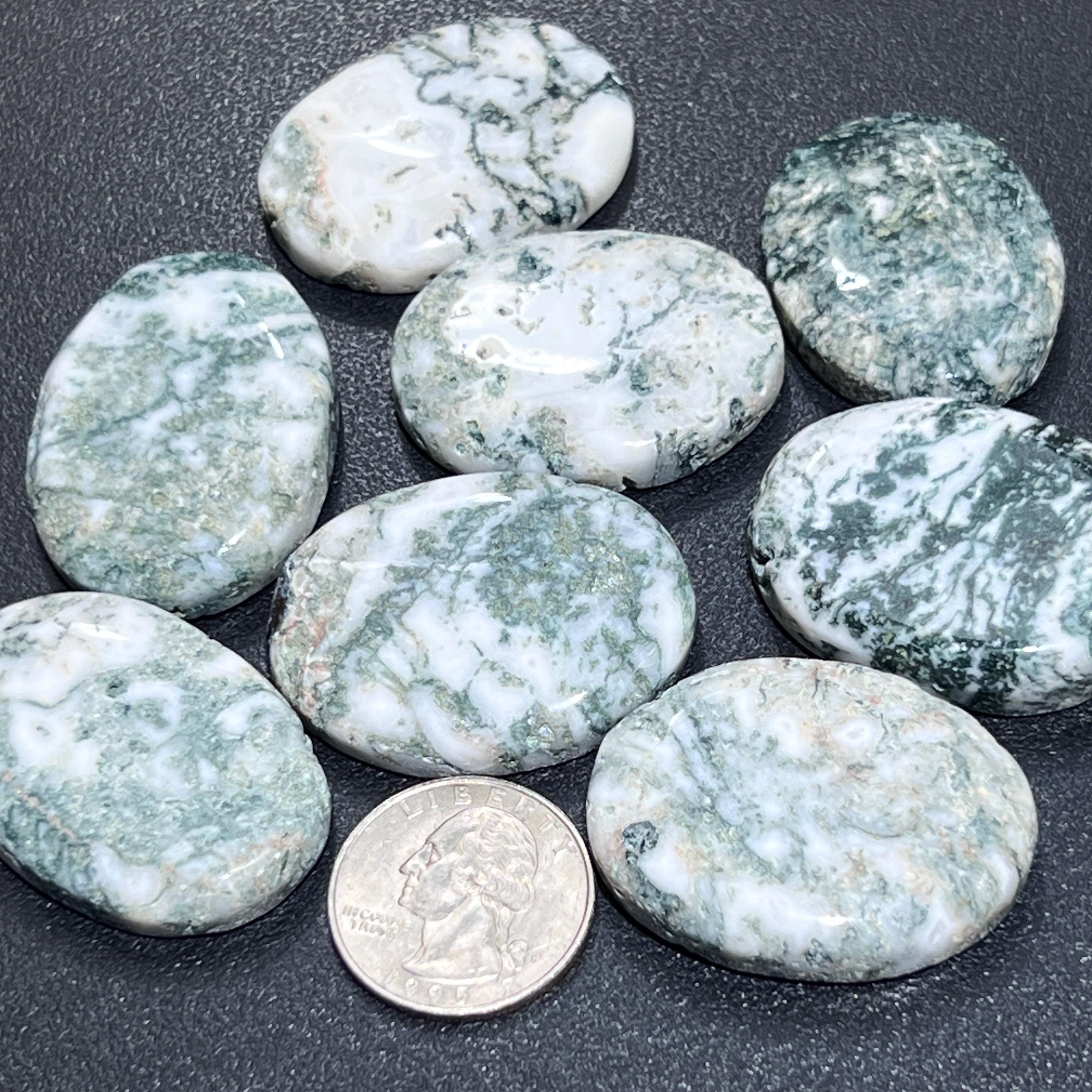Tree Agate Cabochons