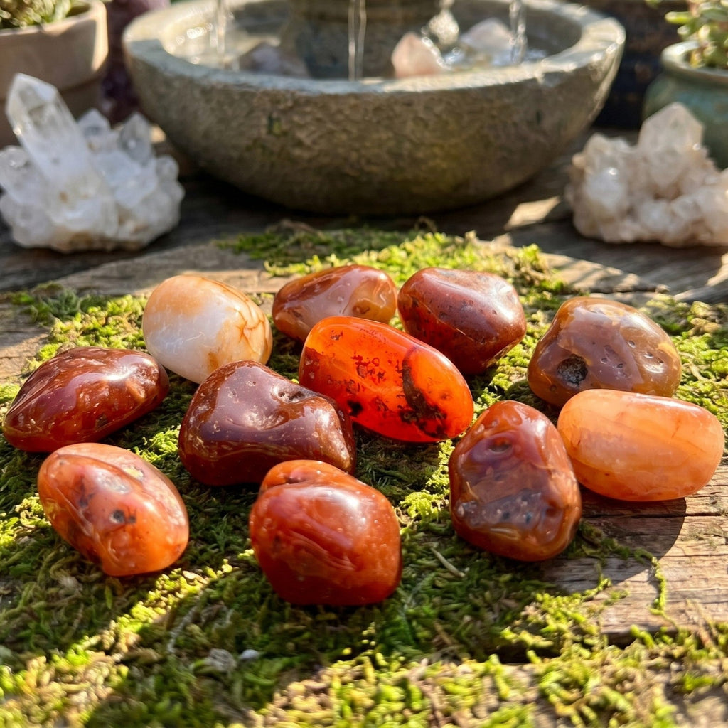 Large Carnelian Red Agate Crystal Tumbled Stones (By The Piece or Pound)