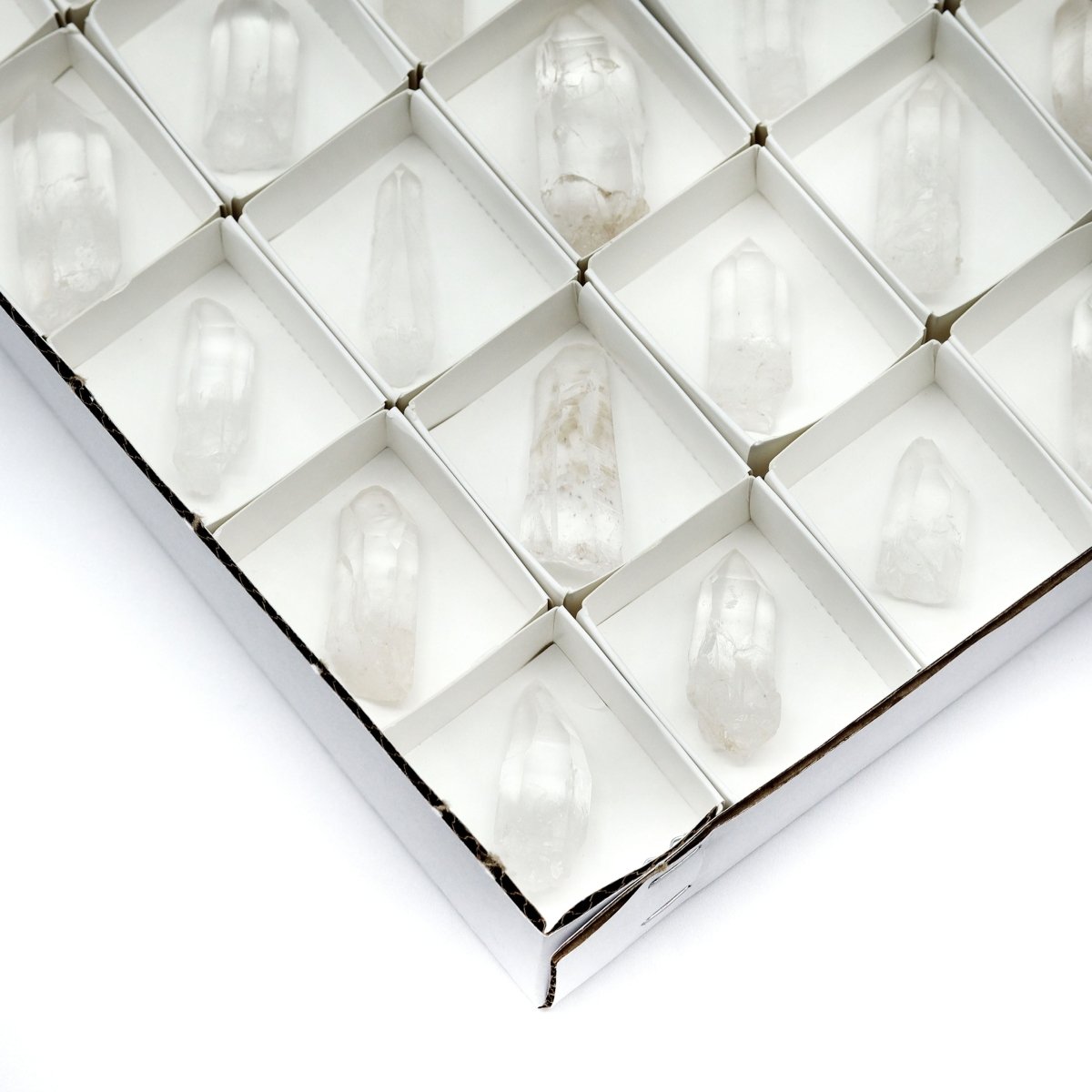 48 Piece Flat - Lemurian Quartz Points
