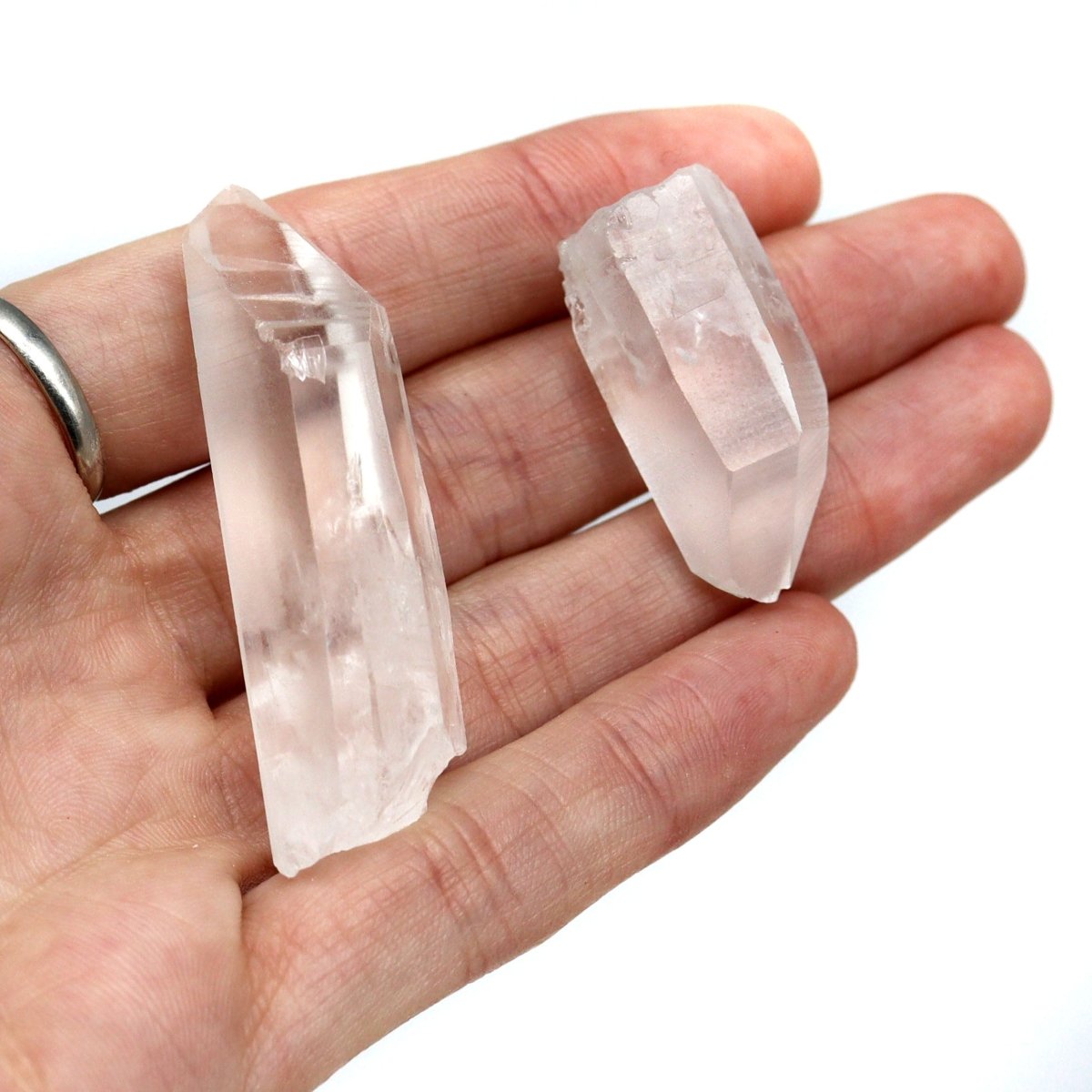 48 Piece Flat - Lemurian Quartz Points