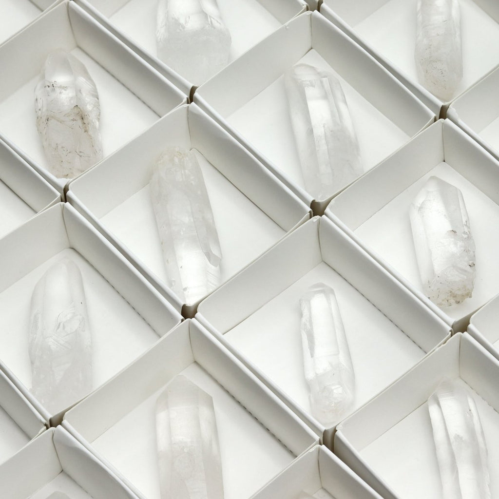 48 Piece Flat - Lemurian Quartz Points