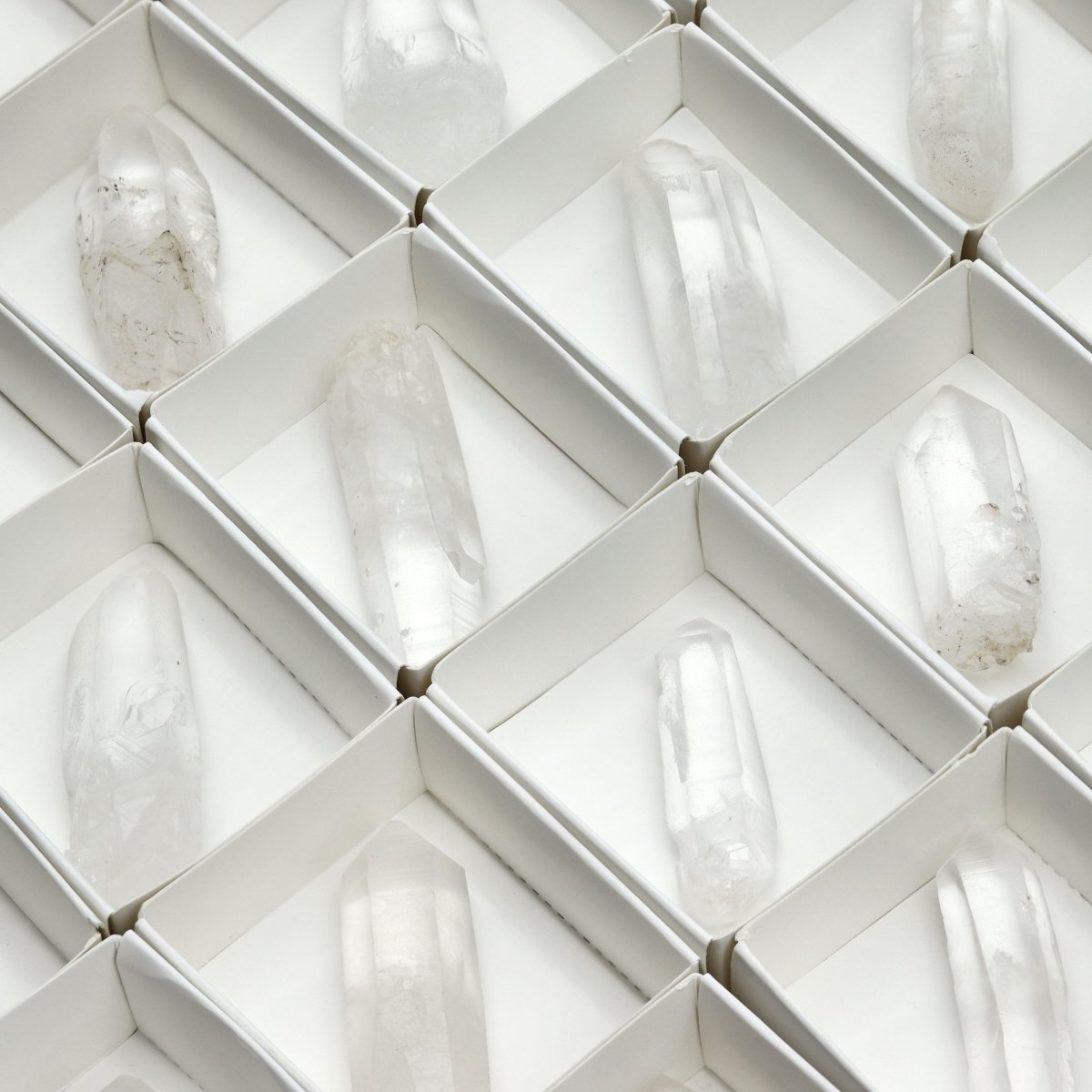 48 Piece Flat - Lemurian Quartz Points
