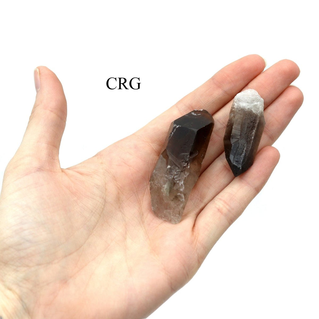 48 Piece Flat - Smoky Quartz Points