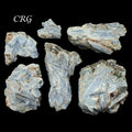 5 KILO LOT - Extra Quality Rough Blue Kyanite Clusters & Pieces (3.0" - 7.0") AVG
