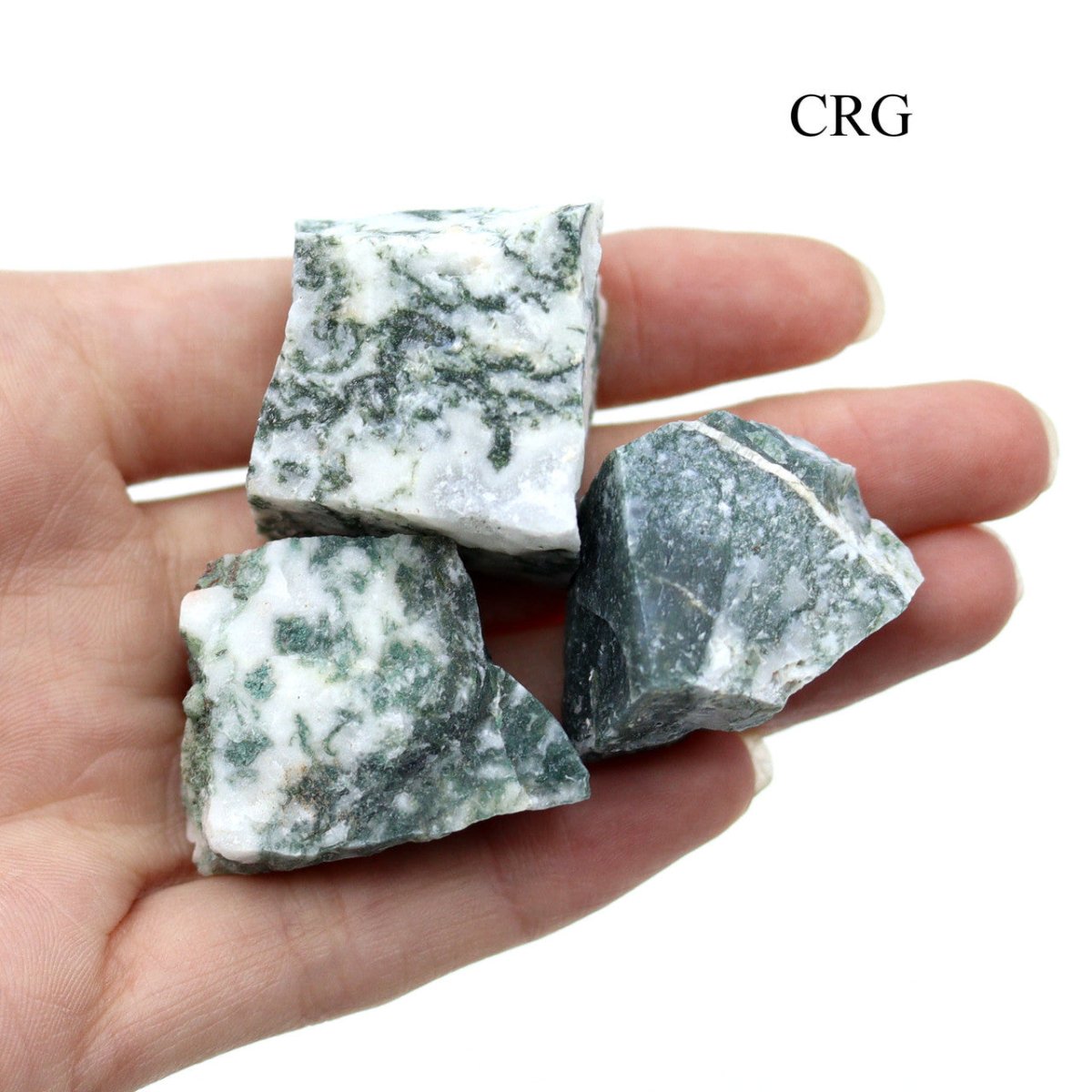 5 KILO LOT - Tree Agate Rough from India / 25-40mm Avg