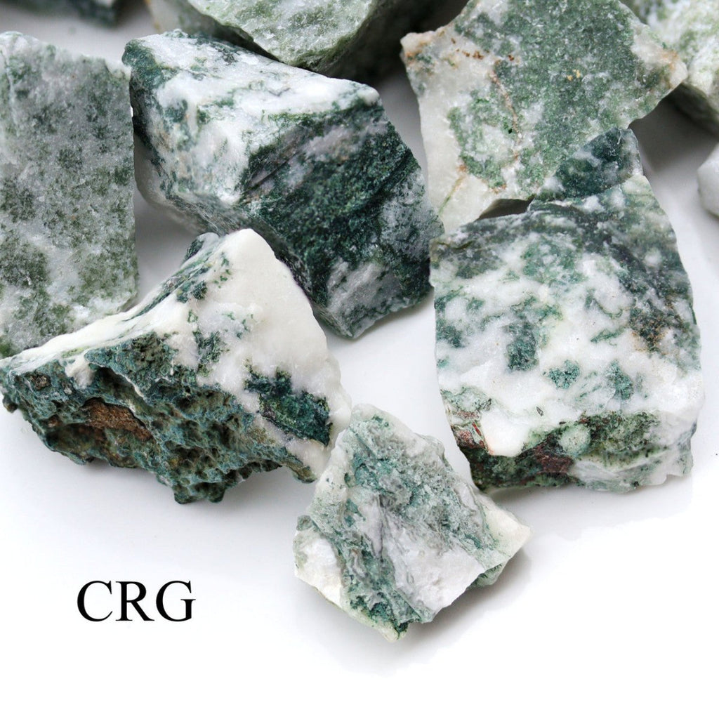 5 KILO LOT - Tree Agate Rough from India / 25-40mm Avg
