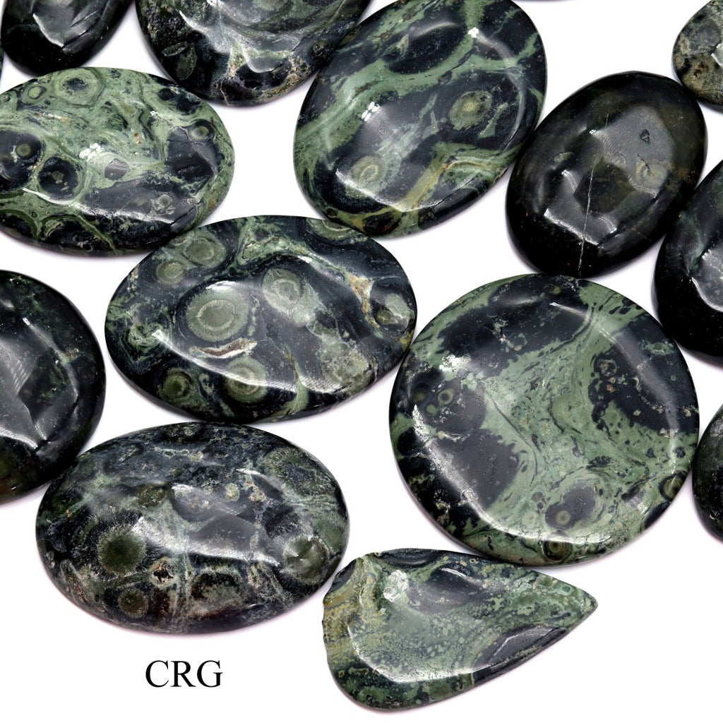 50 GRAM LOT - Kambaba/Crocodile Jasper Cabochons / Mixed Sizes