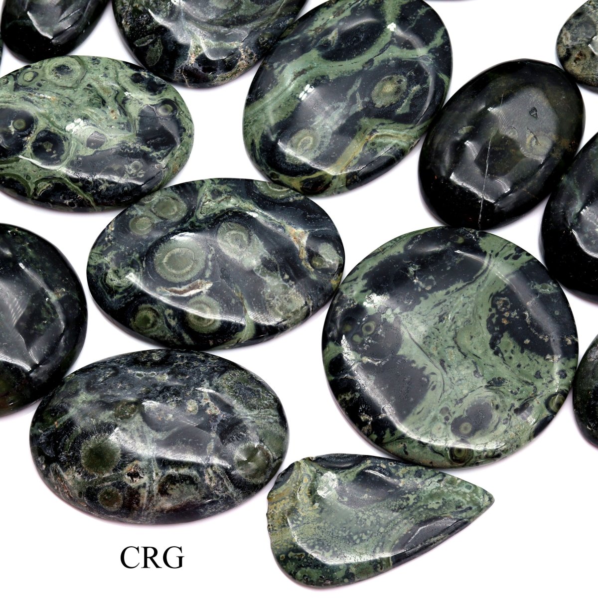 50 GRAM LOT - Kambaba/Crocodile Jasper Cabochons / Mixed Sizes