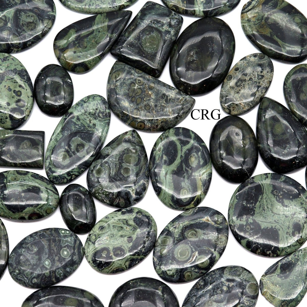 50 GRAM LOT - Kambaba/Crocodile Jasper Cabochons / Mixed Sizes