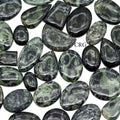 50 GRAM LOT - Kambaba/Crocodile Jasper Cabochons / Mixed Sizes