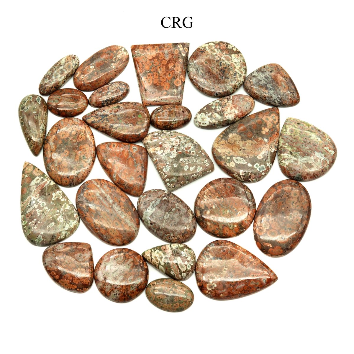 50 GRAM LOT - Leopard Skin Jasper Cabochons / Mixed Sizes
