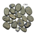 50 GRAM LOT - Pyrite Cabochons / Mixed Sizes