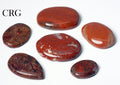 50 GRAM LOT - Red Jasper Cabochon / Mixed Sizes