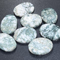 Tree Agate Cabochons