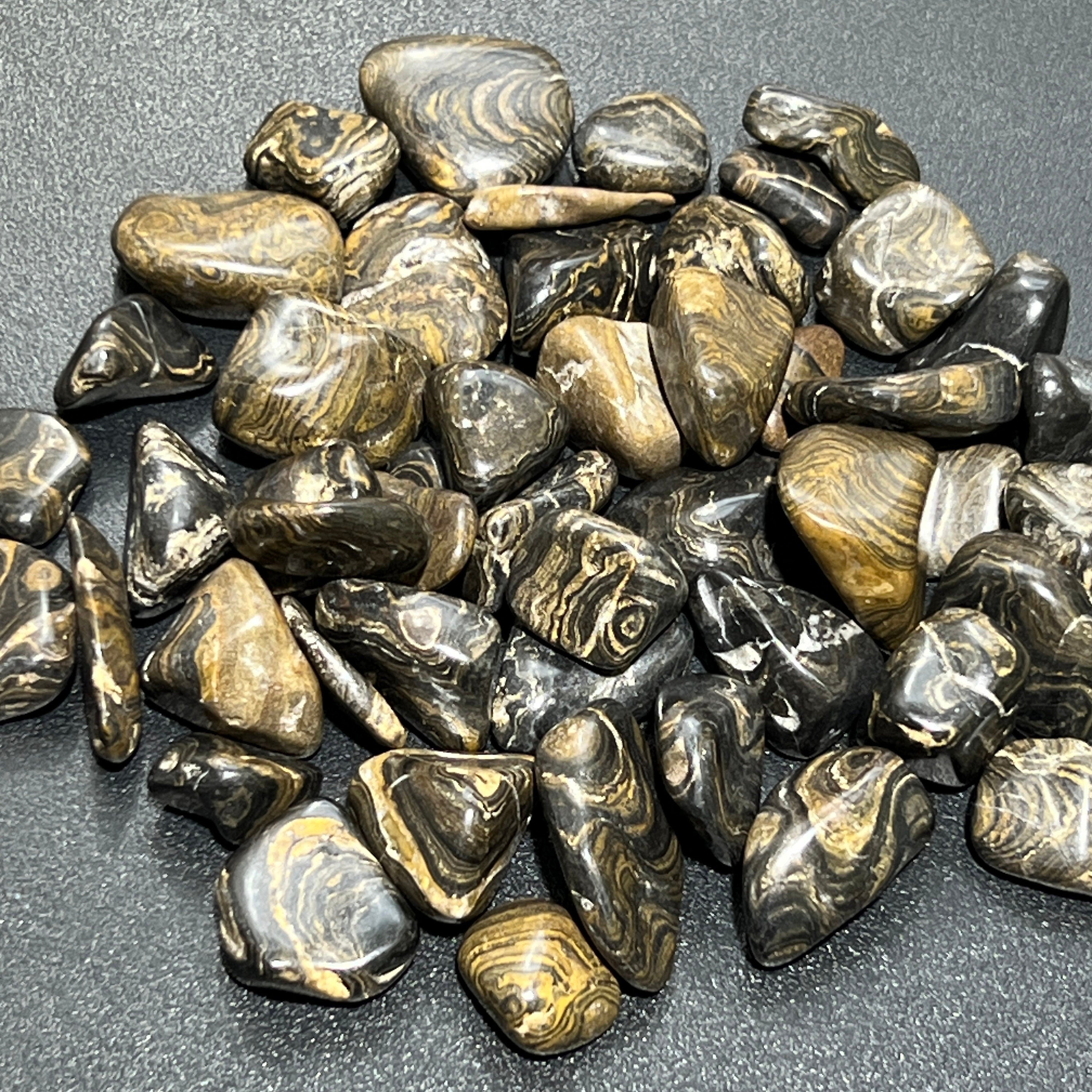 Stromatolite Fossil Tumbled Stones (By The Piece or Pound)