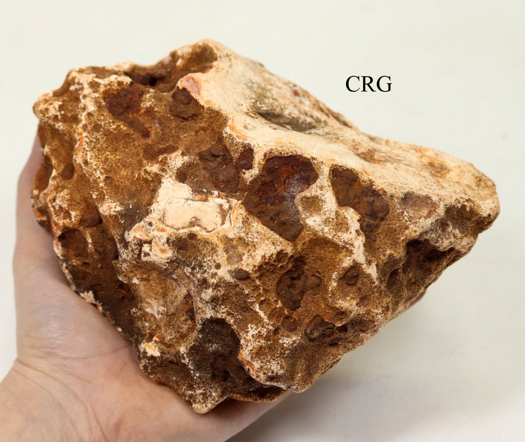 Extra Large Carnelian Rough Madagascar / MIXED SIZES