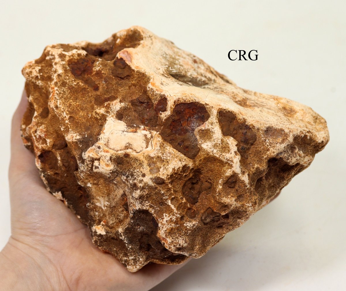 Extra Large Carnelian Rough Madagascar / MIXED SIZES