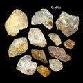 8 OZ LOT - Elestial Window Quartz / 23-95 MM AVG