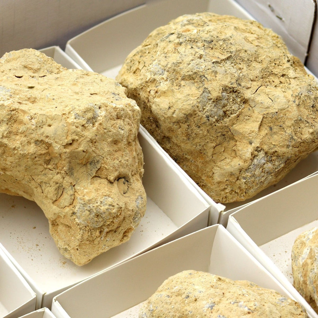 8 Piece Flat Break Your Own Geode 2.5"-4.5" AVG