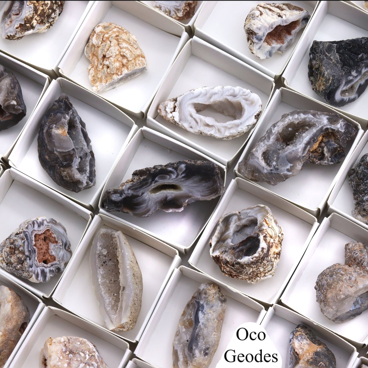 96 Piece Flat - Mini Occo Geodes