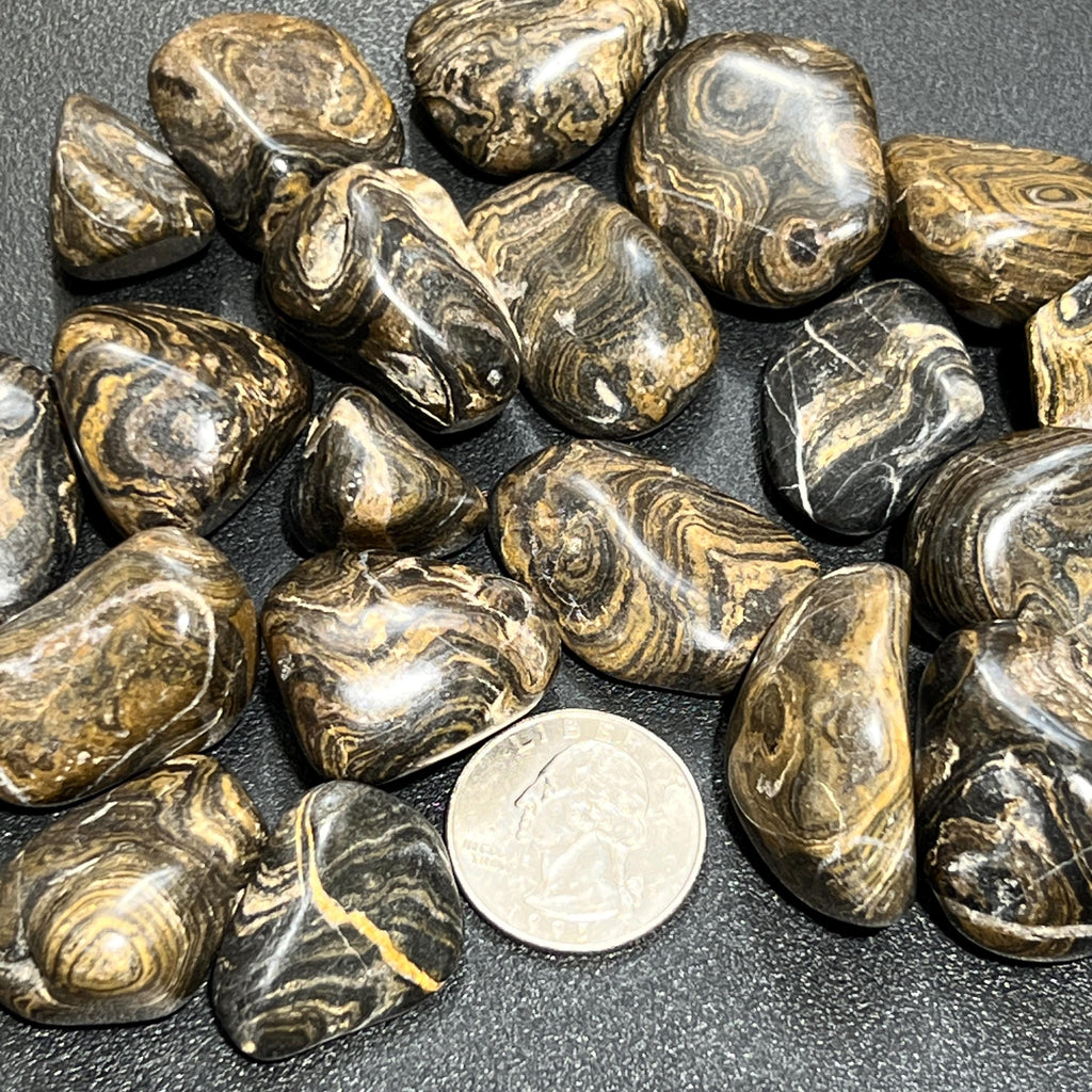 Stromatolite Fossil Tumbled Stones (By The Piece or Pound)