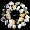 Tumbled Blue Chalcedony with Inclusions / 0.5-1.5" AVG - 1 LB. LOT