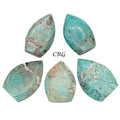 Polished Amazonite Flames / 8-10cm AVG - 1 LB. LOT