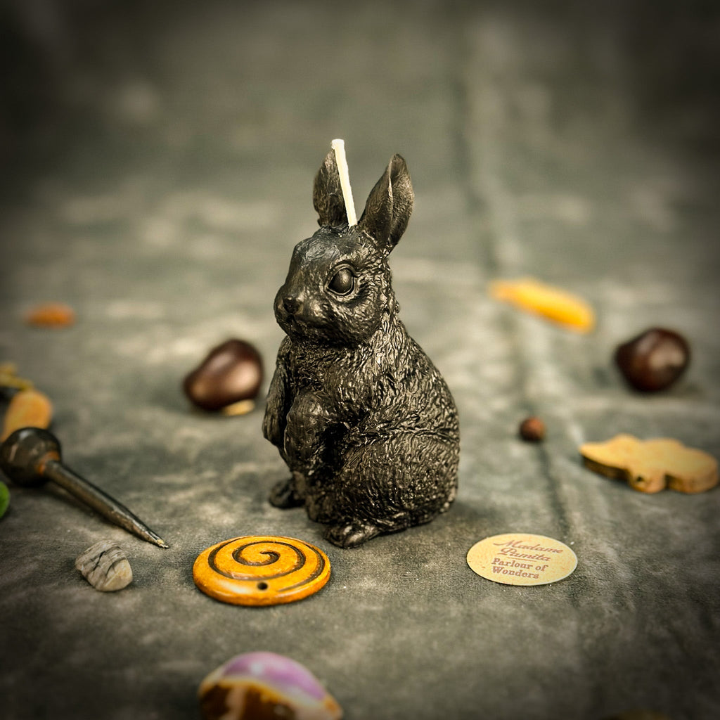 Enchanted Bunny Candle Spell Kit - Abundance & Quick Thinking Magic