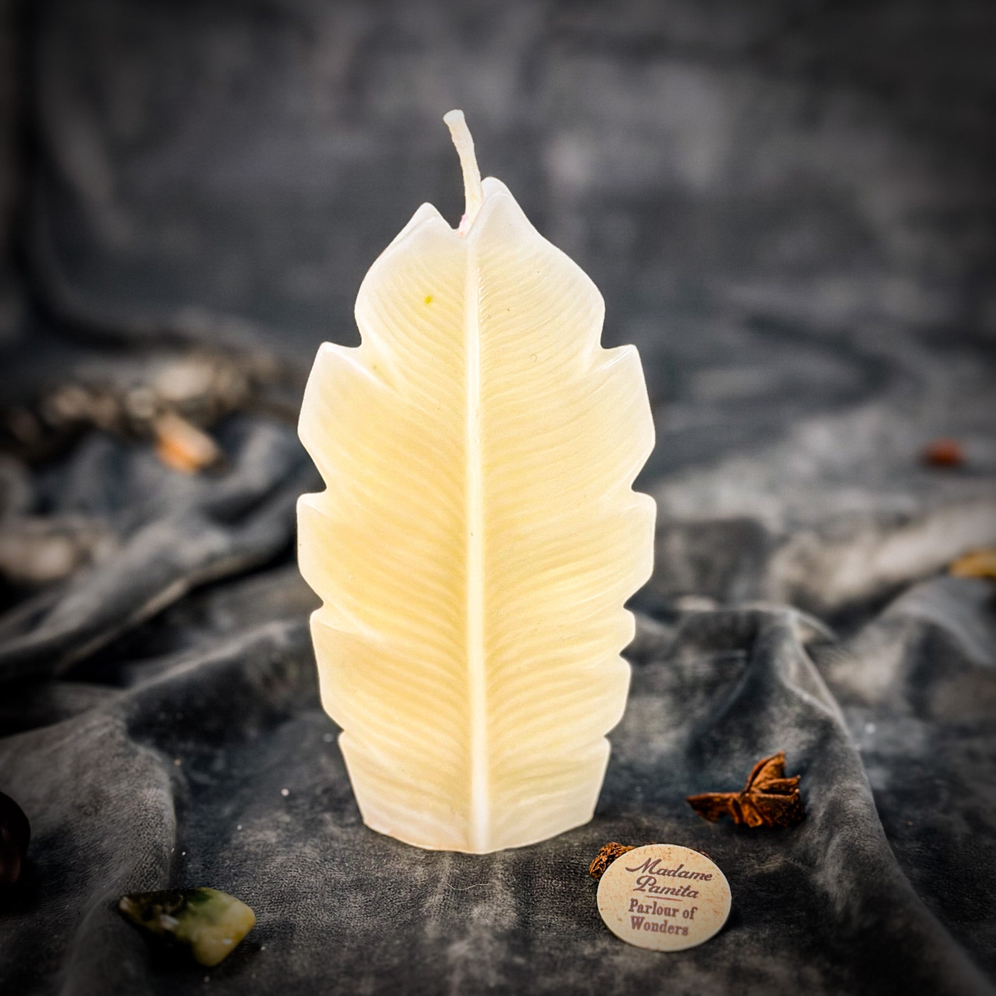 Plant Spirit Candle Spell Kit - Garden Blessing & Nature Magic