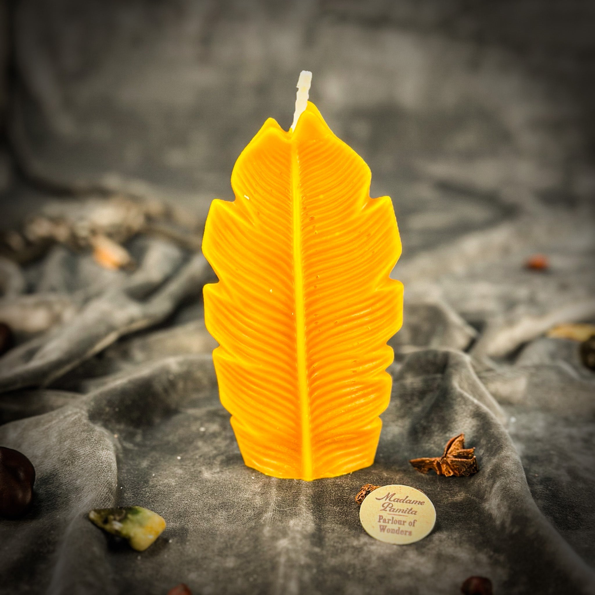 Plant Spirit Candle Spell Kit - Garden Blessing & Nature Magic