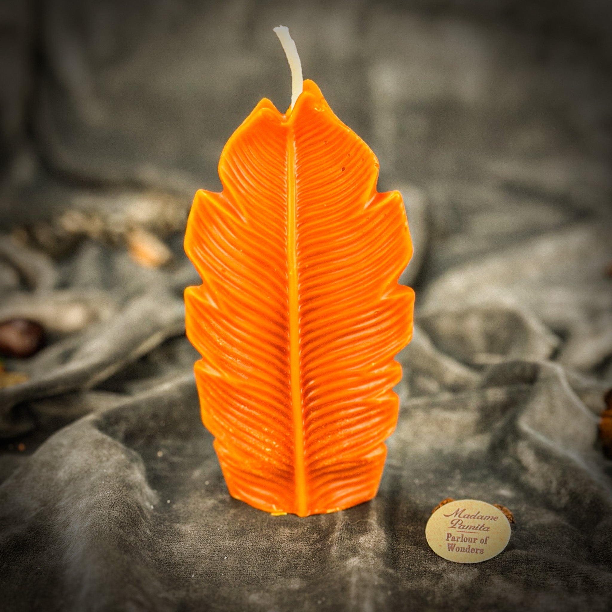 Plant Spirit Candle Spell Kit - Garden Blessing & Nature Magic