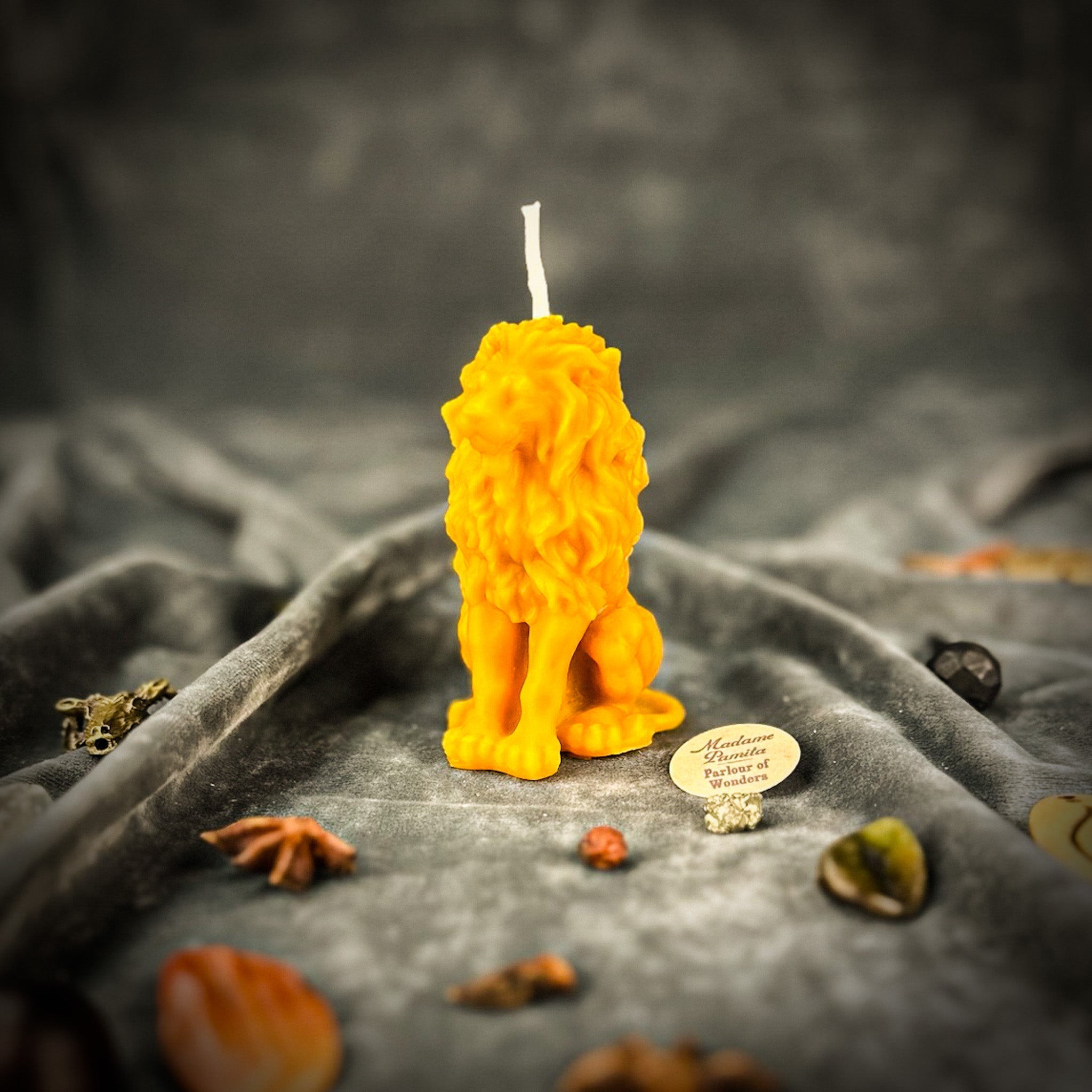 Proud Lion Candle Spell Kit - Courage & Leadership Magic