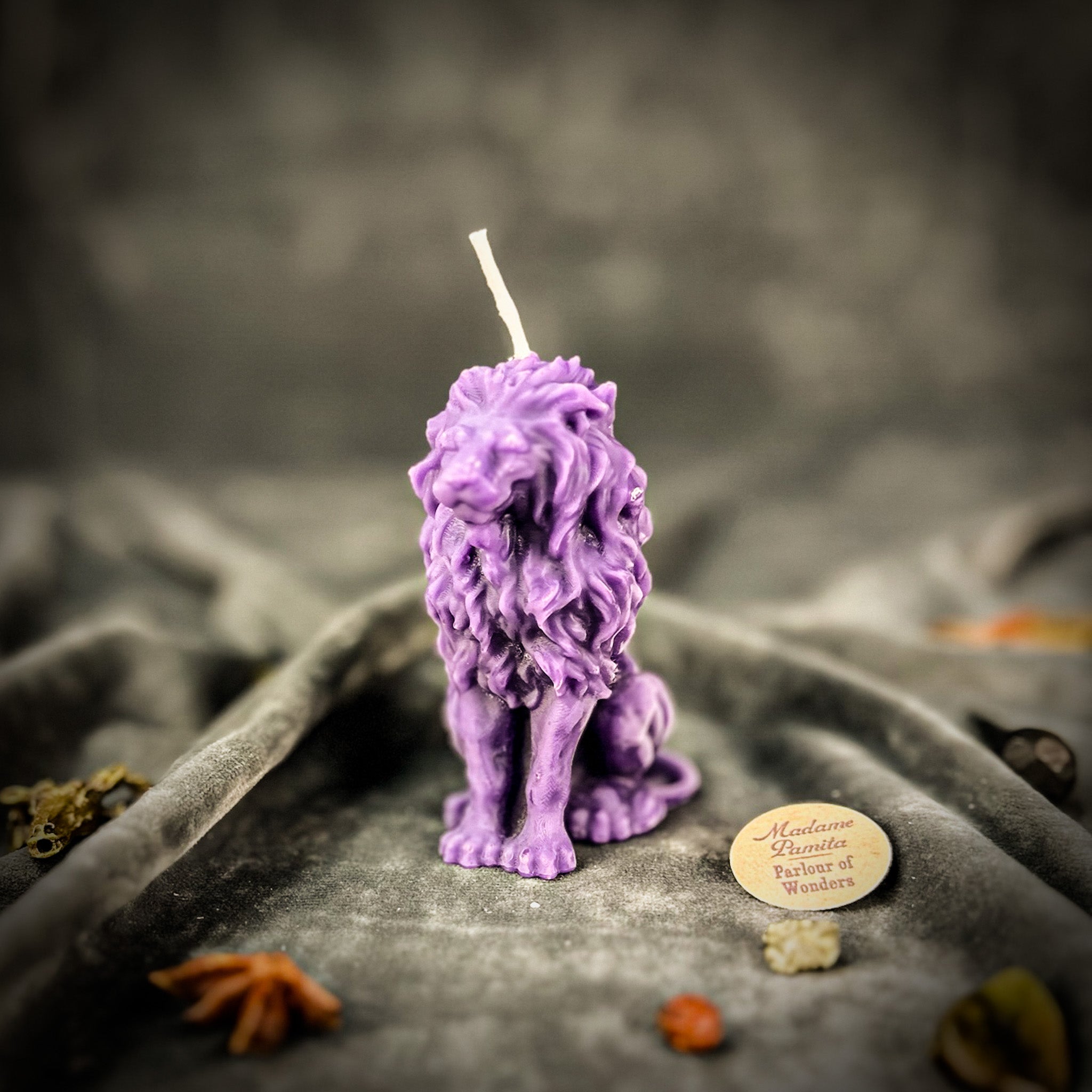 Proud Lion Candle Spell Kit - Courage & Leadership Magic