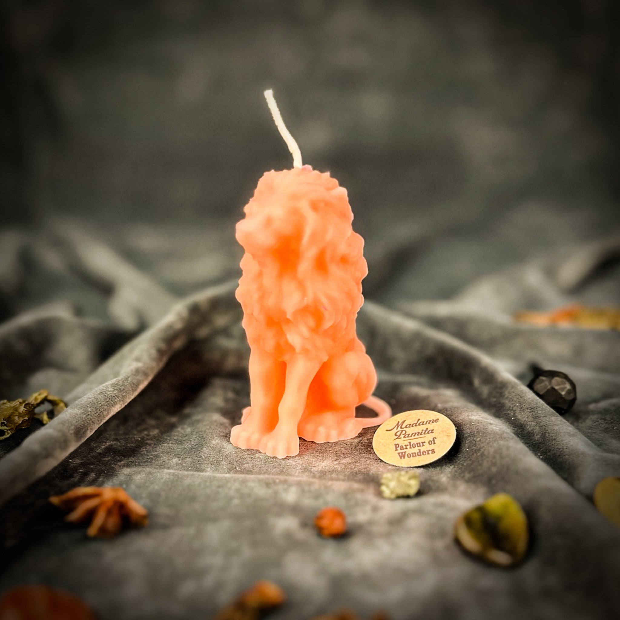 Proud Lion Candle Spell Kit - Courage & Leadership Magic