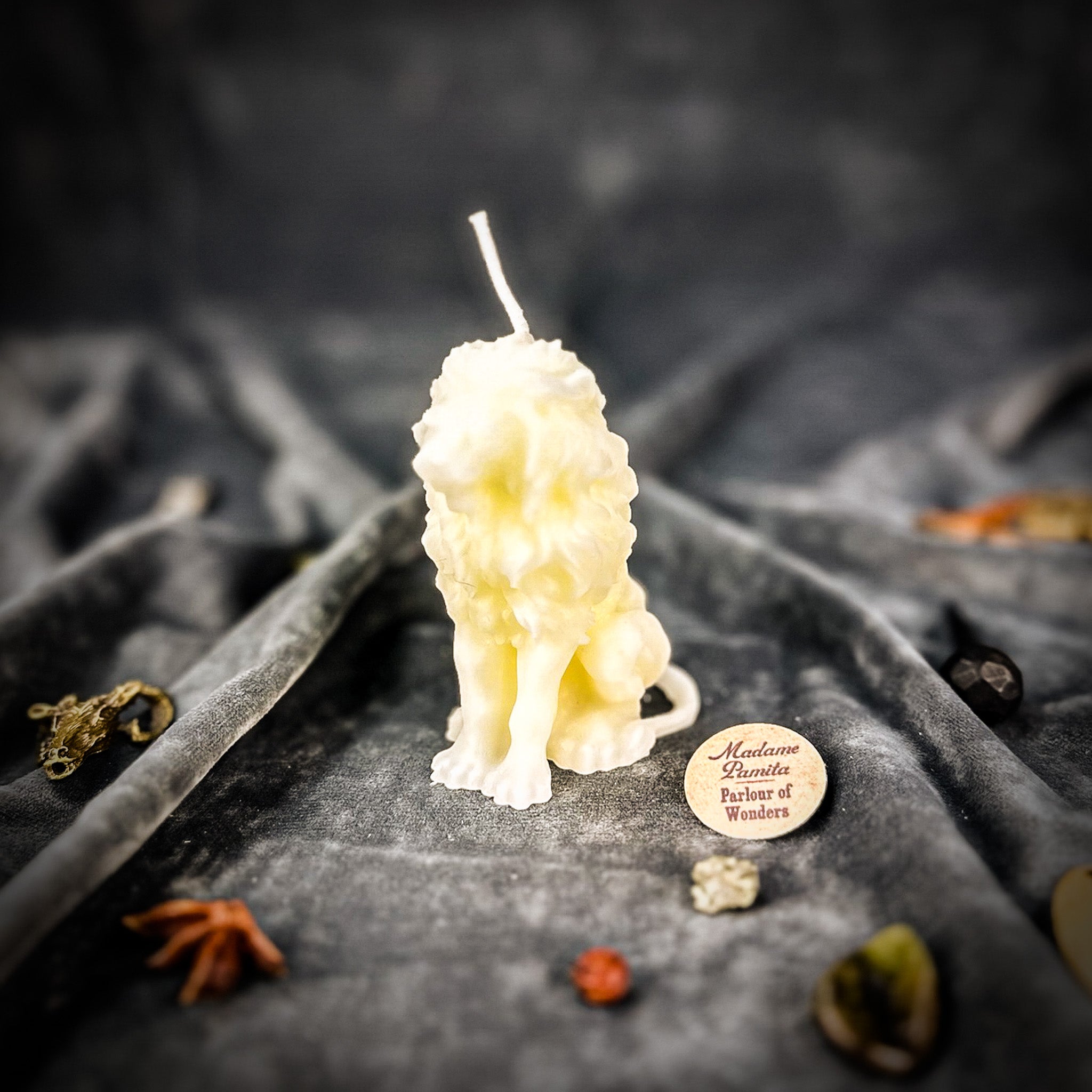 Proud Lion Candle Spell Kit - Courage & Leadership Magic