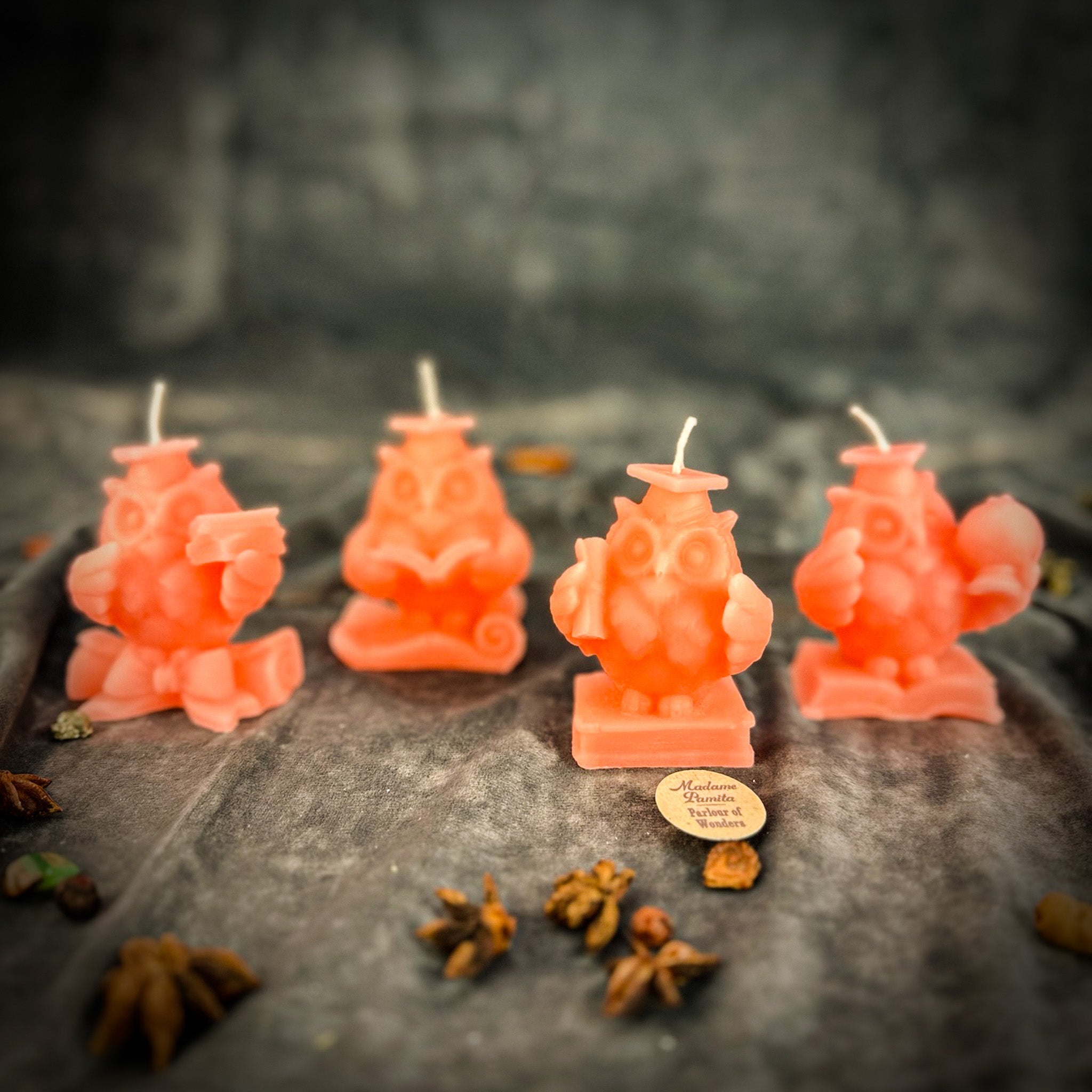 School of Owls Candle Spell Kit - Academic Success & Wisdom