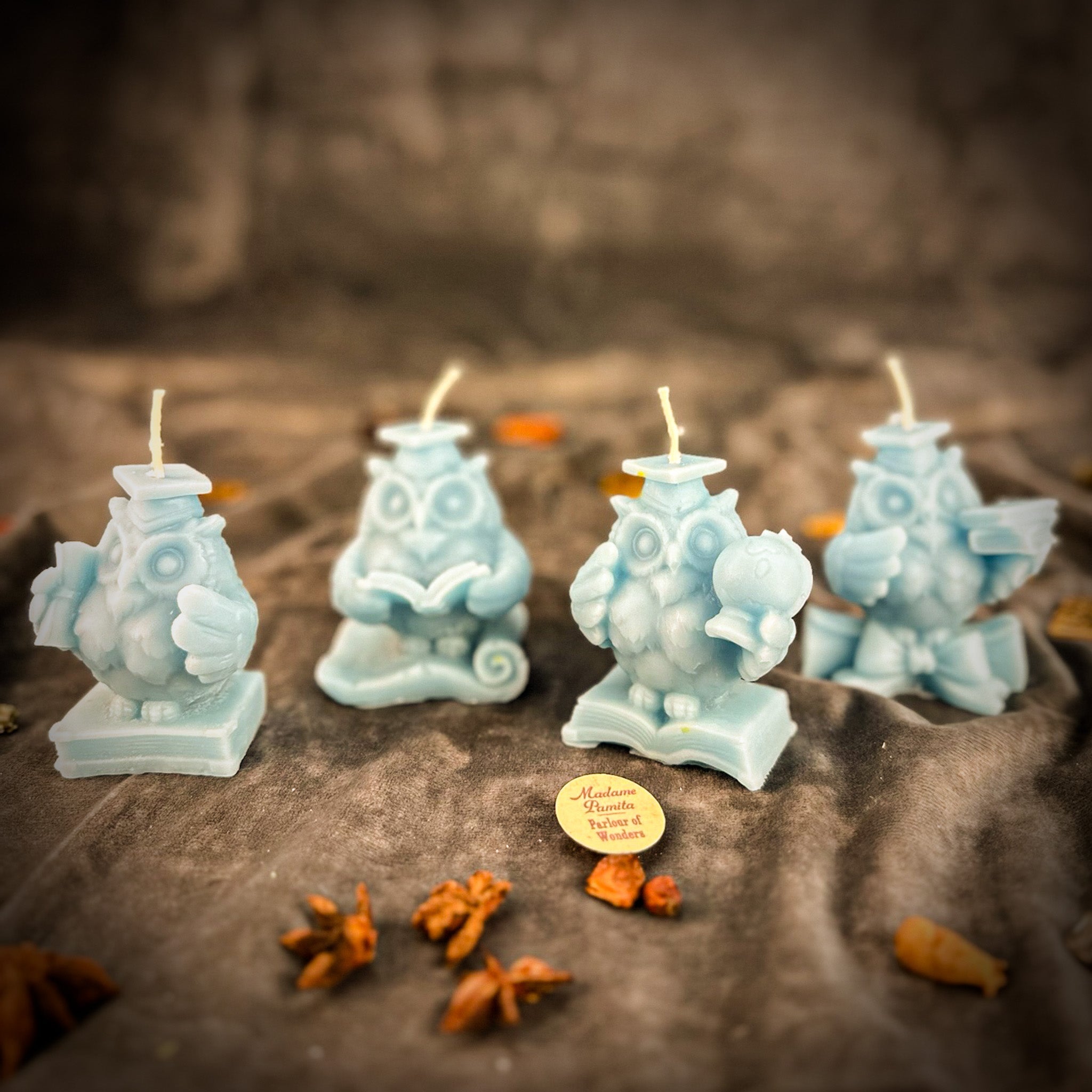School of Owls Candle Spell Kit - Academic Success & Wisdom