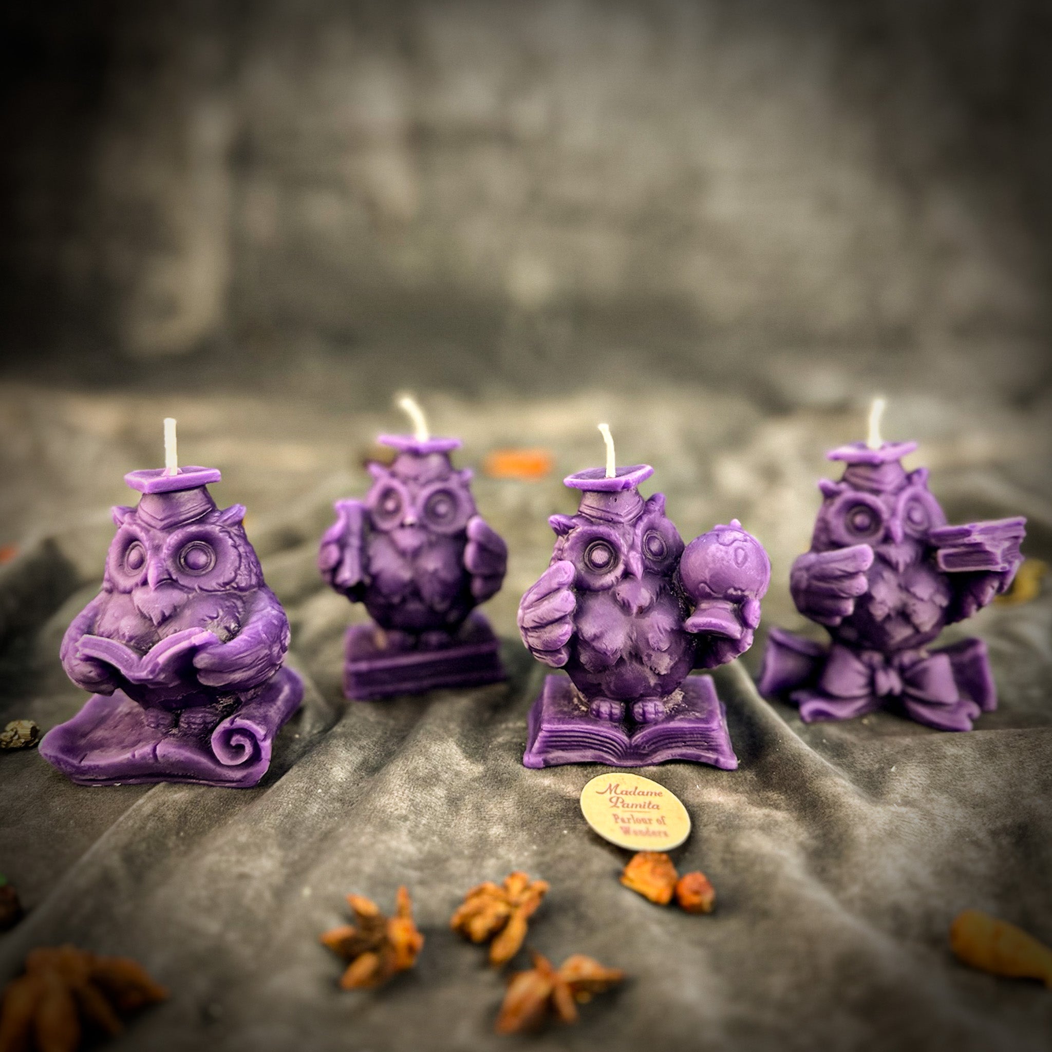 School of Owls Candle Spell Kit - Academic Success & Wisdom