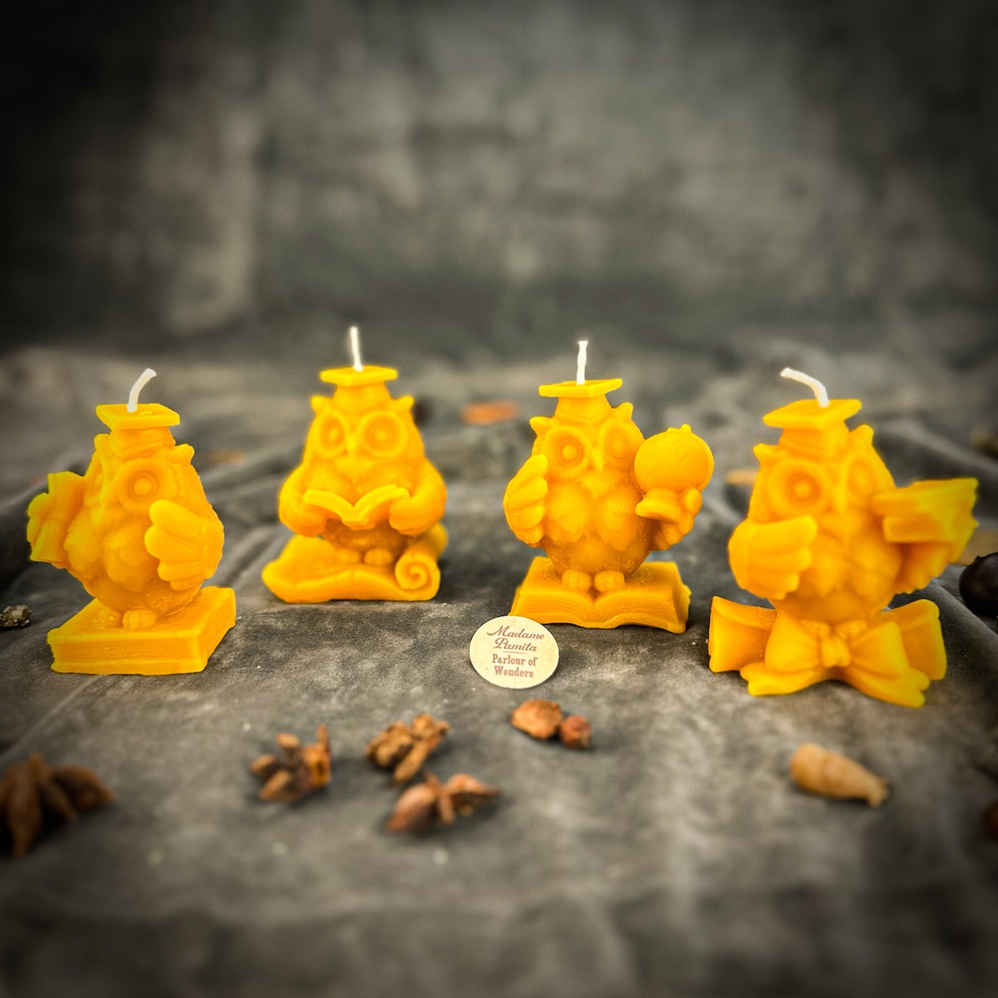 School of Owls Candle Spell Kit - Academic Success & Wisdom