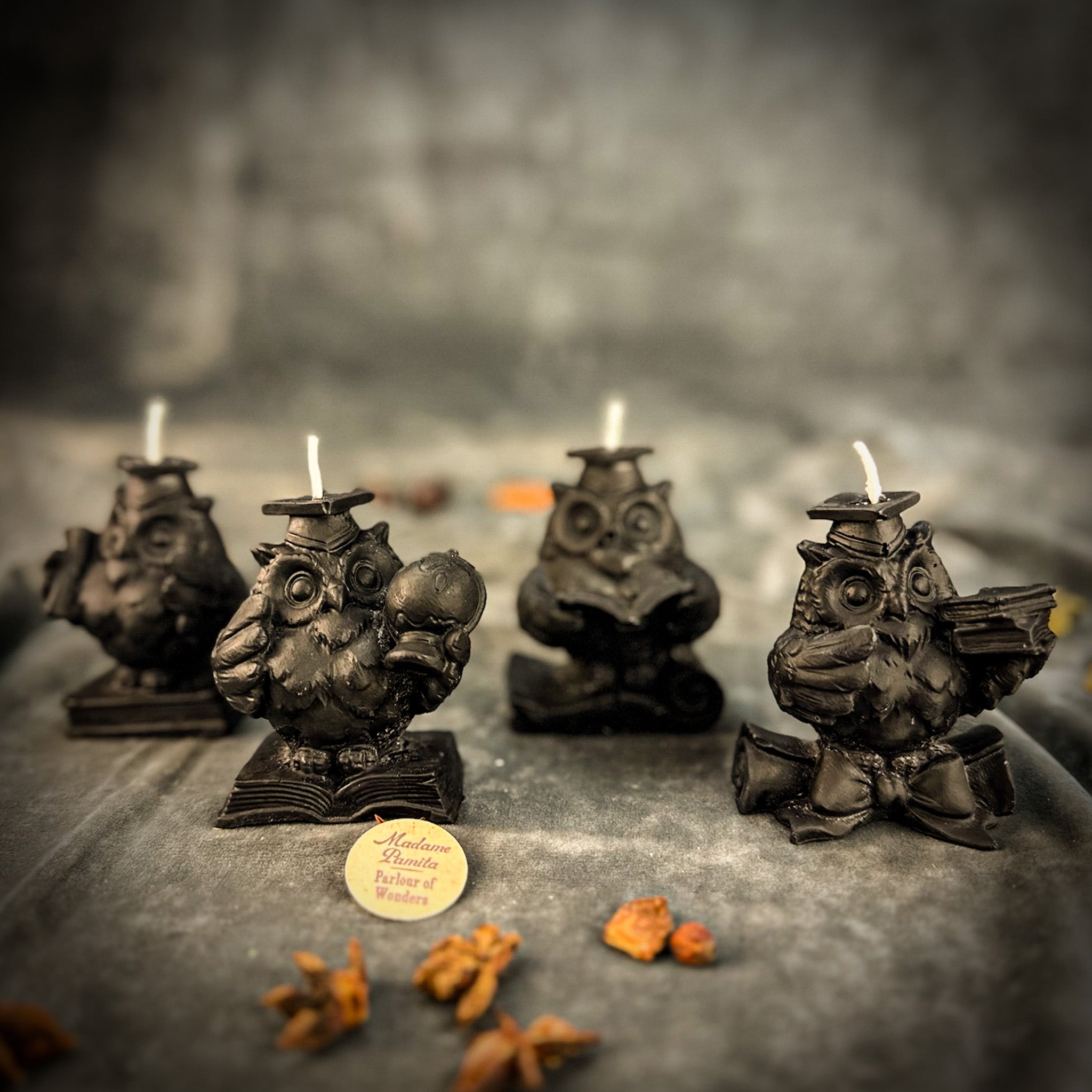 School of Owls Candle Spell Kit - Academic Success & Wisdom