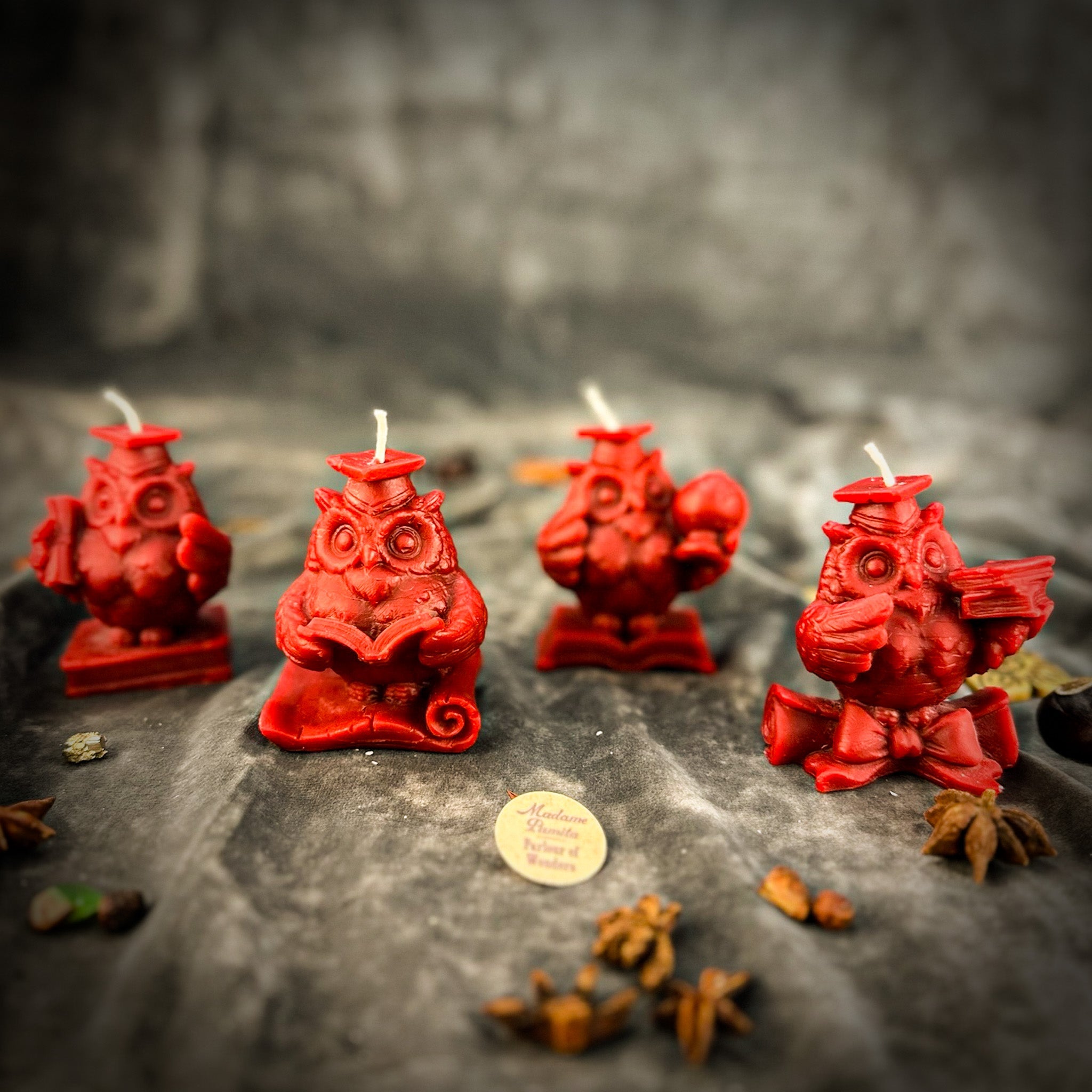 School of Owls Candle Spell Kit - Academic Success & Wisdom