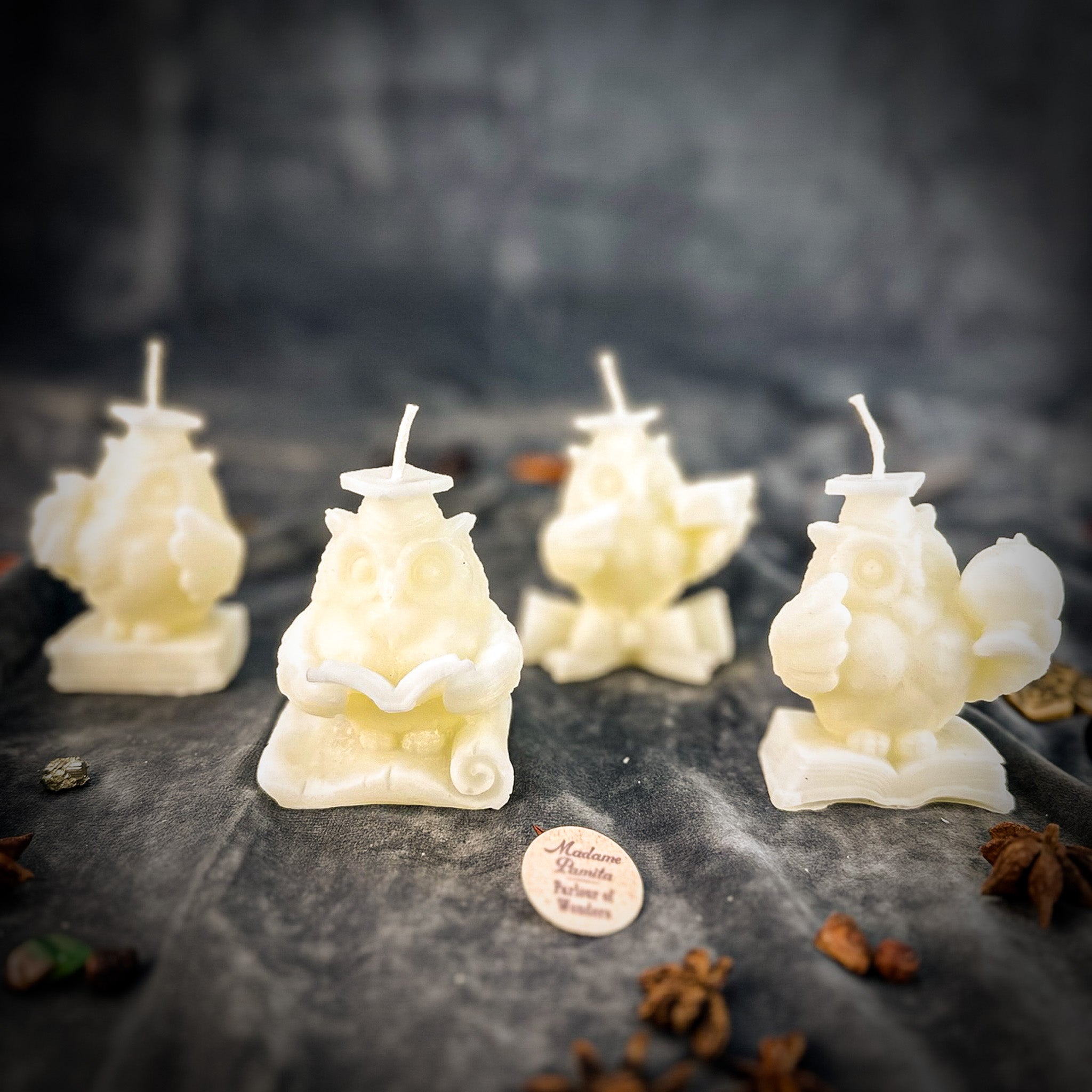 School of Owls Candle Spell Kit - Academic Success & Wisdom