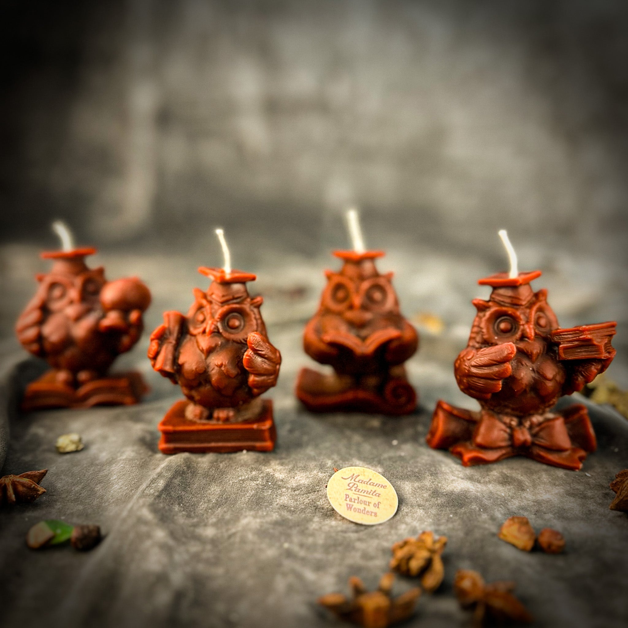 School of Owls Candle Spell Kit - Academic Success & Wisdom