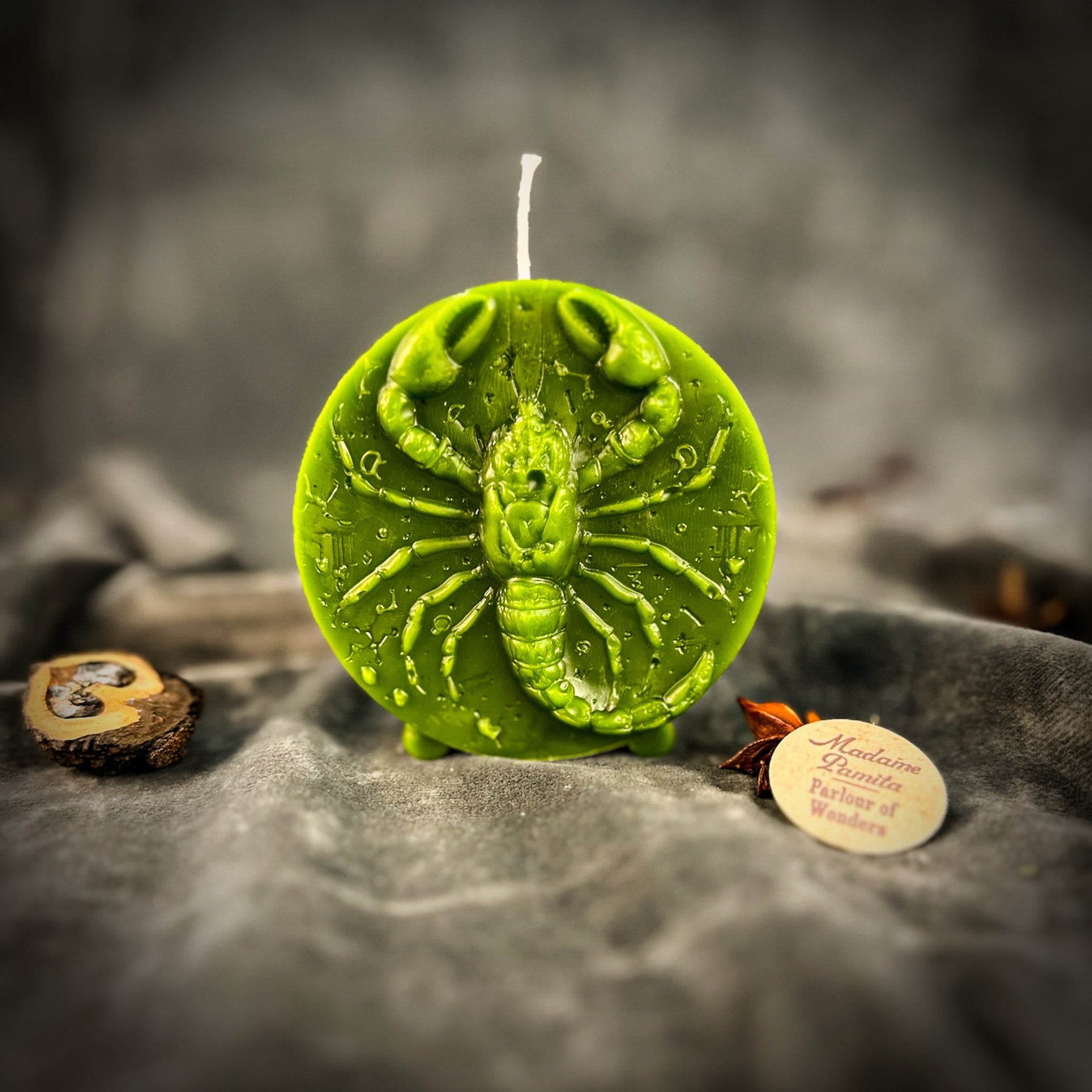 Beeswax Scorpio Scorpion Zodiac Spell Candle - Transformation, Power & Intuition
