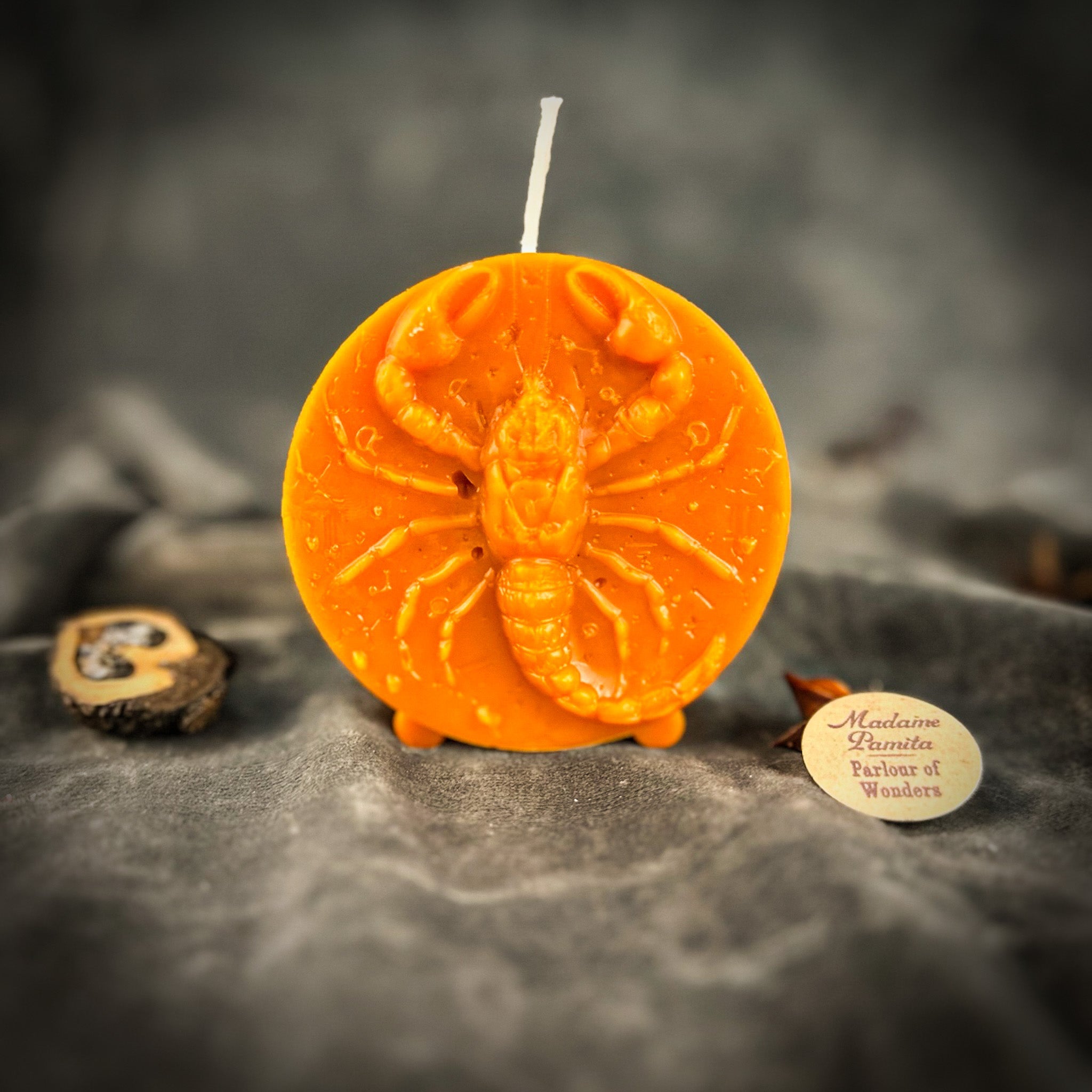 Beeswax Scorpio Scorpion Zodiac Spell Candle - Transformation, Power & Intuition